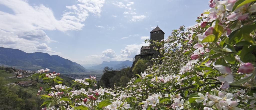 Hotel Zum Tiroler Adler Exteriér fotografie